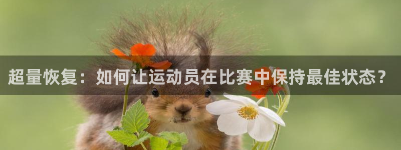 z66体育app下载