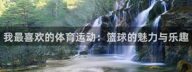 z66体育全站官网：我最喜欢的体育运动：篮球的魅力与乐趣